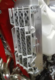 P-Tech Beta RR|RS|RR-S Radiator Guards