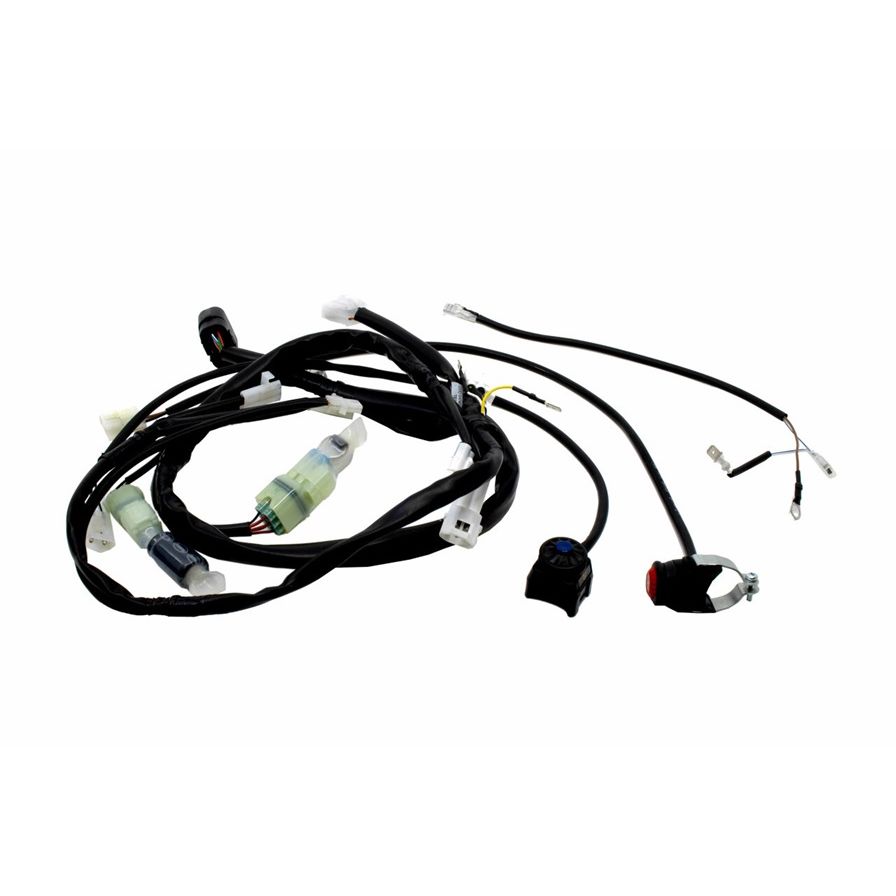 Beta 300RR Race Edition (24-)|250RR Race (25-) Race Wire Loom – Sierra ...