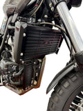 Beta Alp Oil Cooler Guard