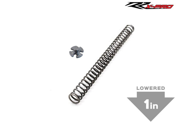 Beta X-Pro Sachs SHC Lowering Kit Fork Springs