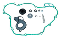 Beta 4-stroke (20-) Waterpump Rebuild Kit