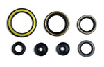 Cometic 300|250 Oil Seal Kit